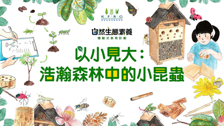 KFBG_NEEEP_05 PPT Cover_1920x1080