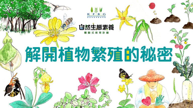 KFBG_NEEEP_08 PPT Cover_1920x1080